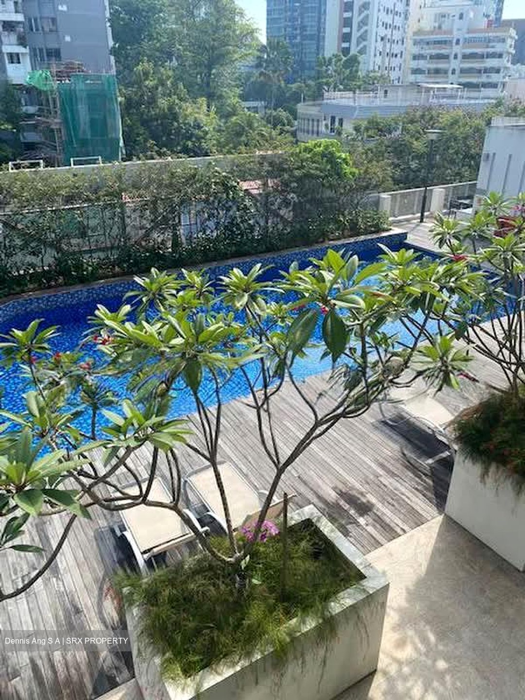 Ascent @ 456 (D12), Apartment #569938571